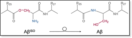 AβISO to Aβ reaction