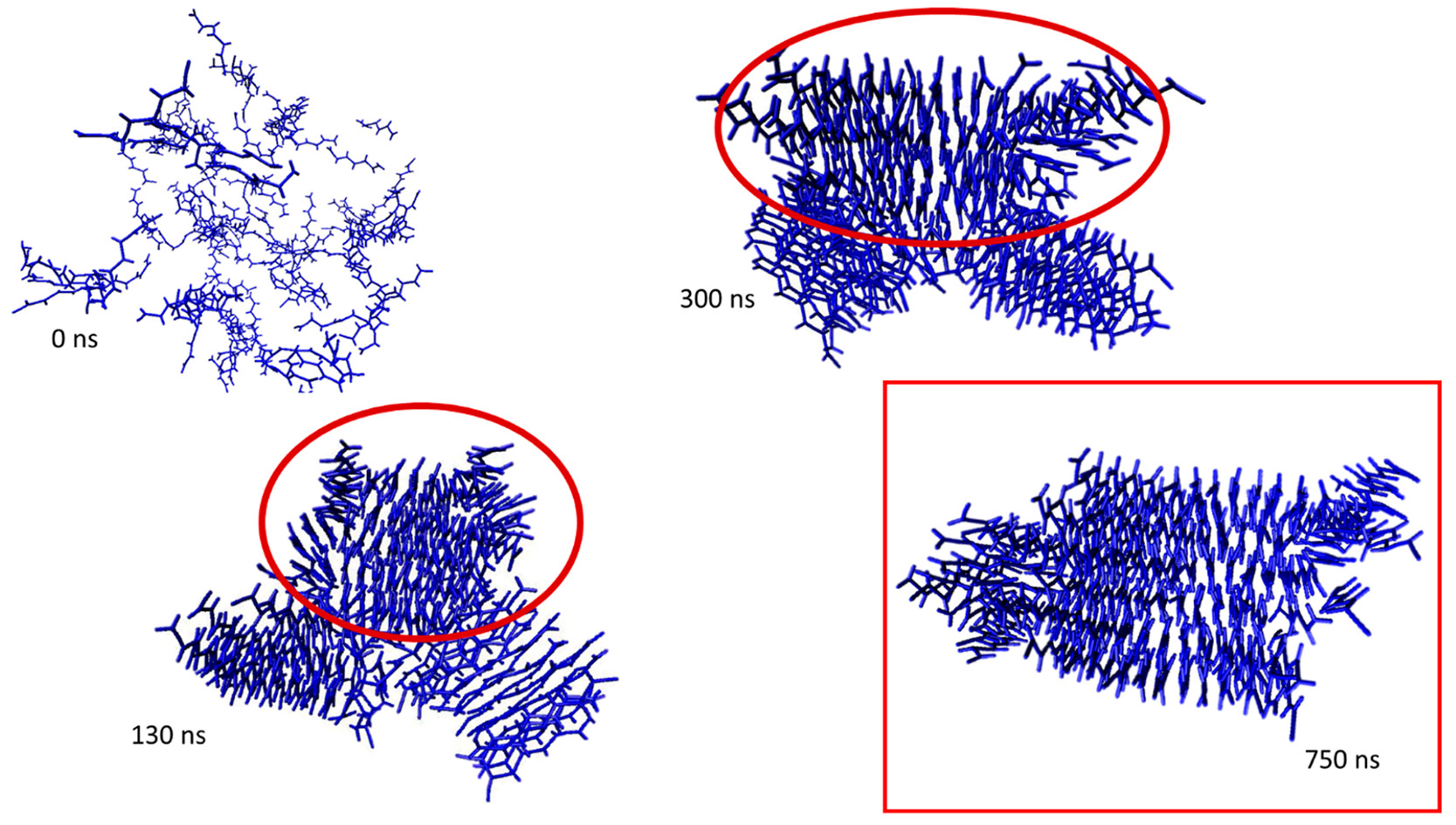 An image of simulated amyloid formation