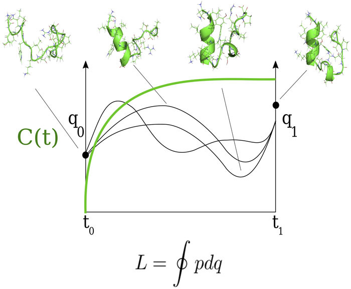 An image showing some molecular simulation and a graphical representation, with the integral of a generalized momentum at the bottom