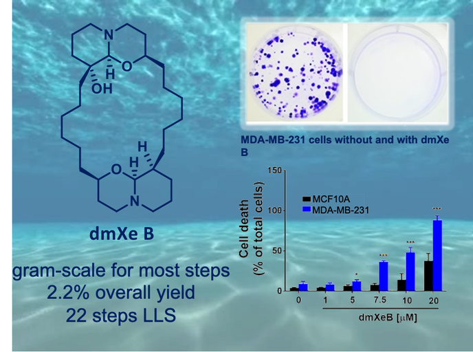 Publications Zakarian Group